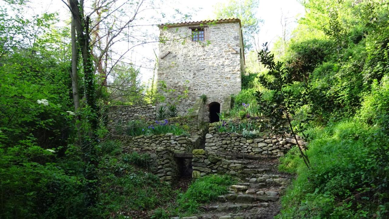 Gite Du Couchant Sorède Zewnętrze zdjęcie